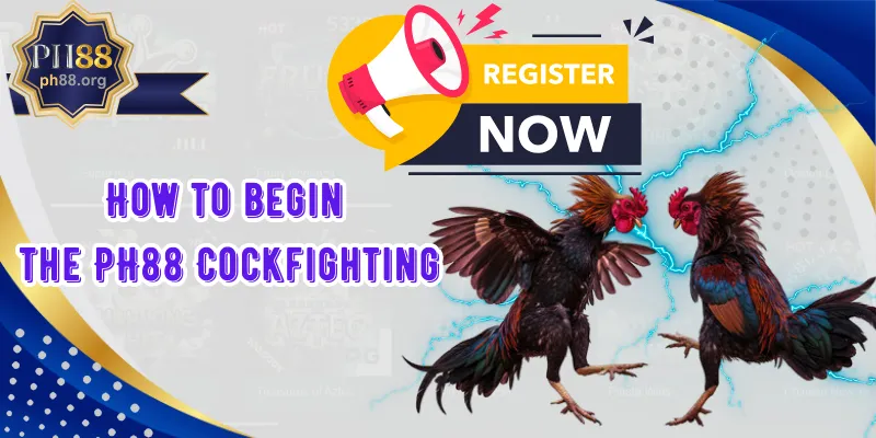 How to begin the PH88 Cockfighting