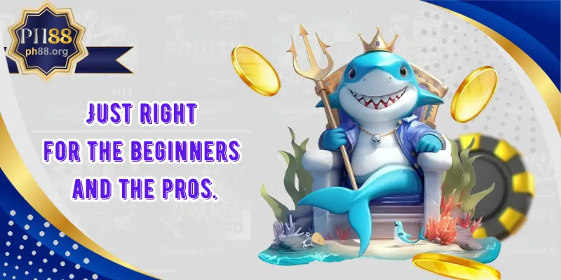 Just right for the beginners and the pros.