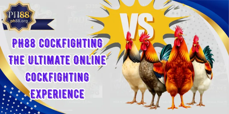 PH88 Cockfighting The Ultimate Online Cockfighting Experience